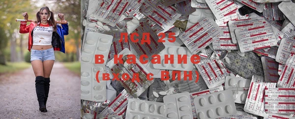 гидропоника Алзамай