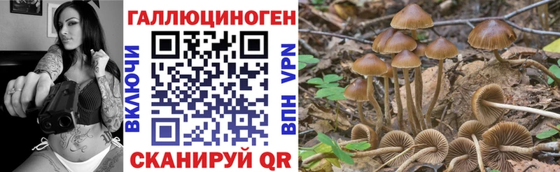 Псилоцибиновые грибы Magic Shrooms  Сясьстрой 